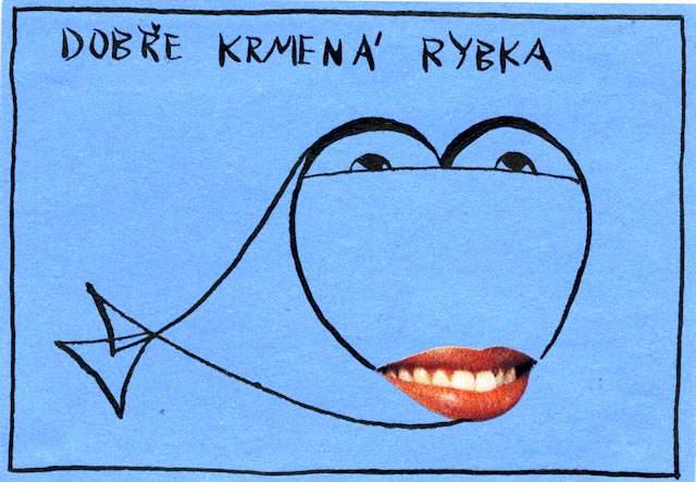 rybka007